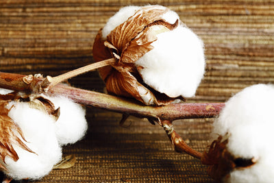 Why we love eco-friendly Turkish cotton